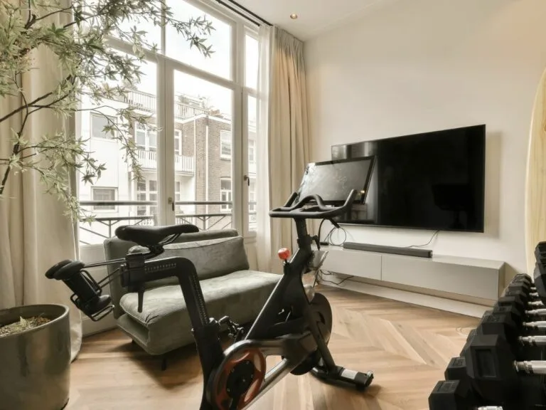 can a gym shed fit in a shed
