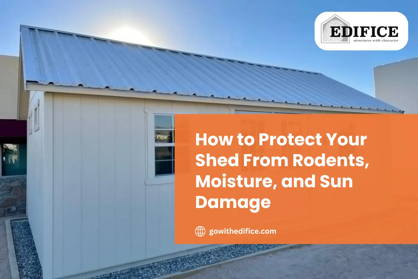 How to Protect Your Shed From Rodents, Moisture, and Sun Damage